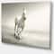 Designart - Beautiful White Horse Running - Animal Canvas Art Print